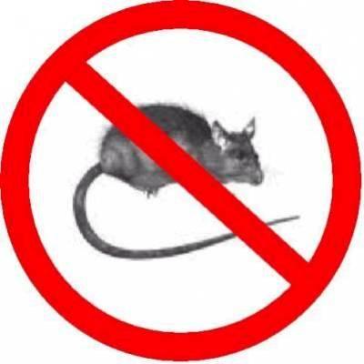 interdit au rats comme toi lol