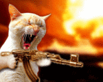 SA C'EST MON CHAT